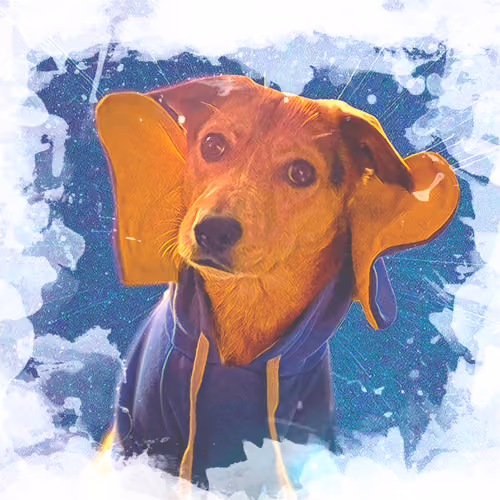 LunaDaPuppy