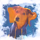 LunaDaPuppy
