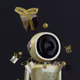Lunar Robots