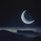Luna's Musings