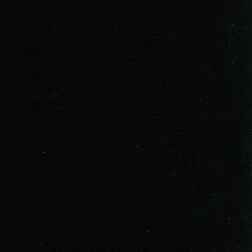 Luxury Zoo Collection