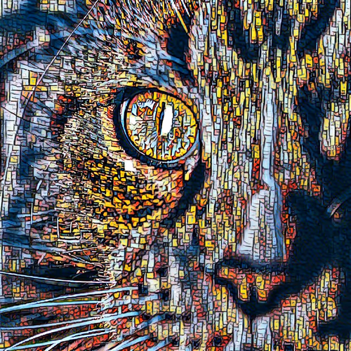 m-i-s-c-e-l-l-a-n-e-o-u-s - old