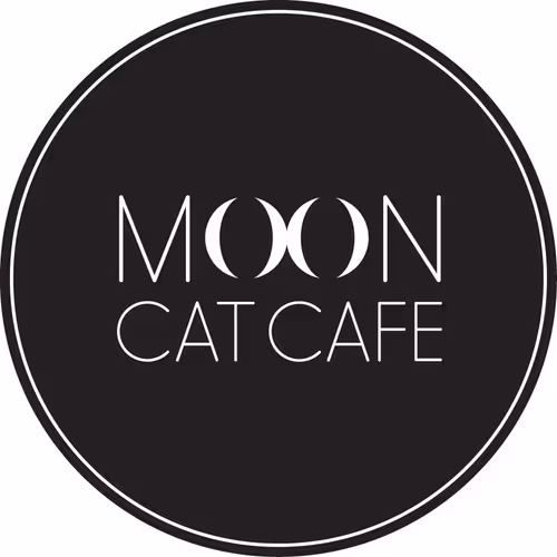 World's First Cat Cafe on Wheels V3