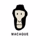 Macaque Logo