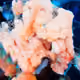 Machine Hallucinations - Coral - Emergence Memento by Refik Anadol