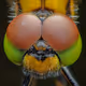 Macro_world - old