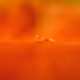 Macro Treasure - old - old