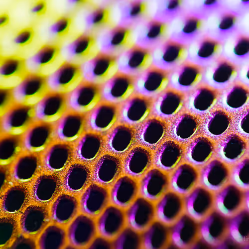 MACrodeo 16 - #macroNFT #distinctMACRO Photography