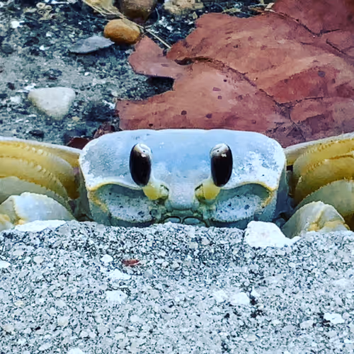 Madeira Beach Florida