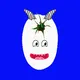 MADTOMATO
