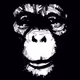 Mafia Monkey Club - old