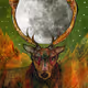 Vixen Berkana Art - Magic Folk Tales Collection