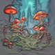 Magic Mushrooms