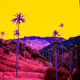 MAGICAL REALISM SERIES