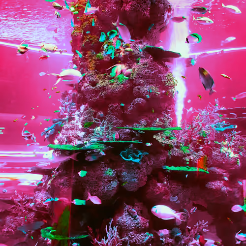 Magical Sea Creatures