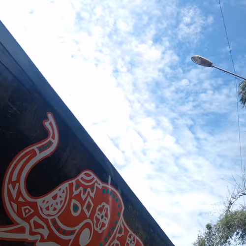 Magical Shades of Nature