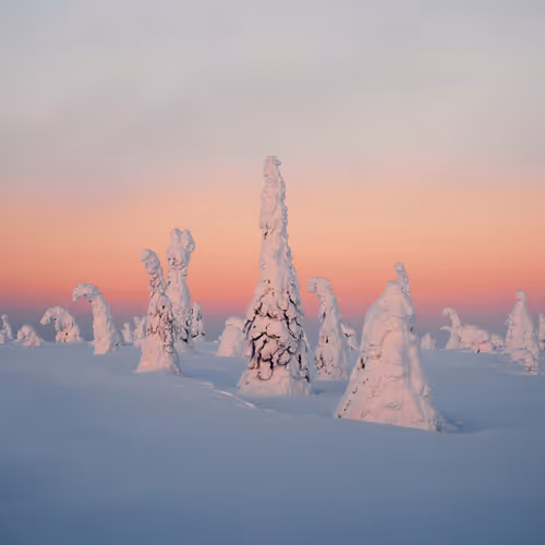 Magical Winter Days - old