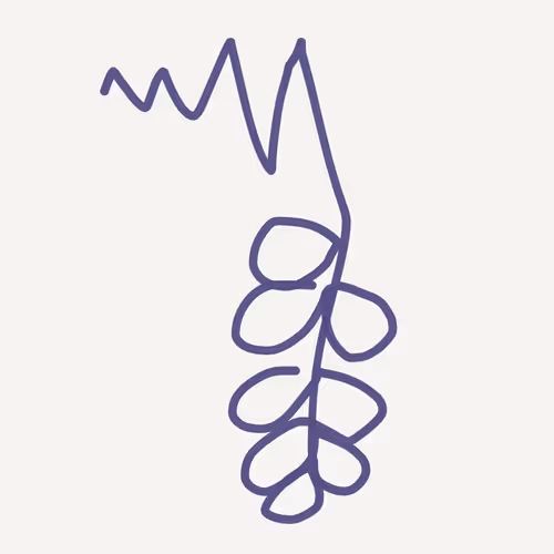 magick grapes