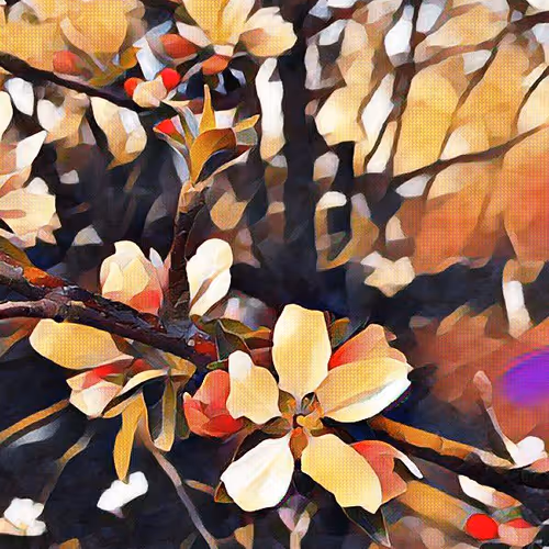 The Magics Of Nature
