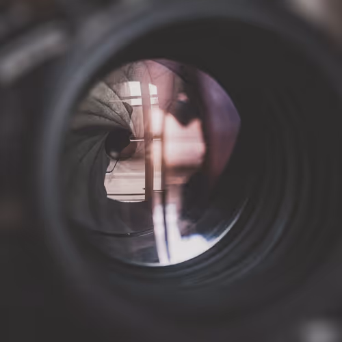 Magnoliophyta Photography.