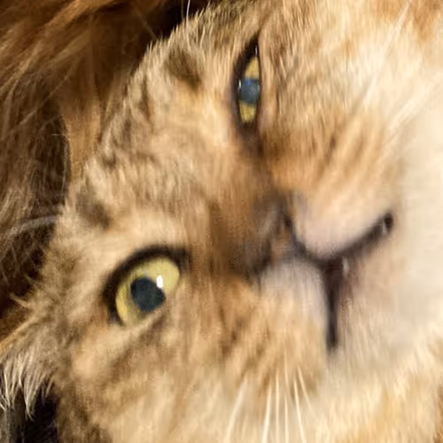 From Osaka, Japan Family sometimes daily life