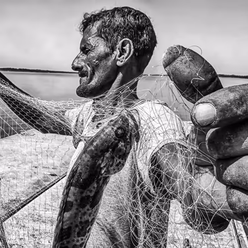 MAHDI ZABOLABBASI (PHOTOS)