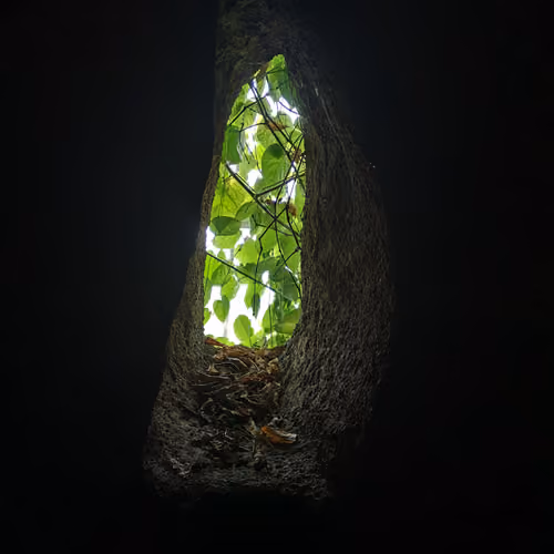Maia-Purusha-Moments-suspendus