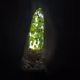 Maia-Purusha-Moments-suspendus