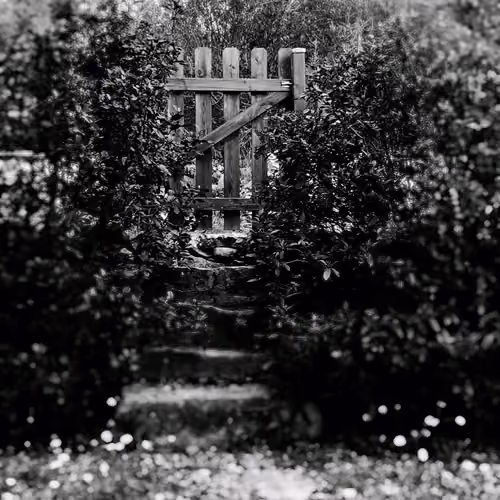 Maia-Purusha-Regrets