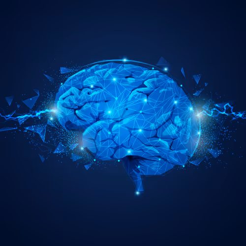 Discoveries of the Mind