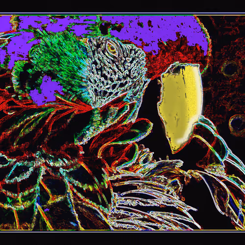 Digital Makaw Collection by AtelierAAriel