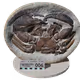 MamlamboFossils