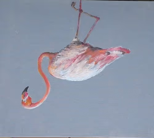 MamysBirds
