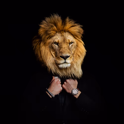 Man City Lion