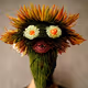 Man Flower Hybrid