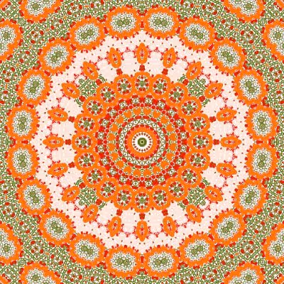 MandallaNFTcolecttion