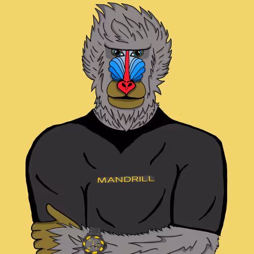 Mandrill society