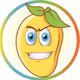 mango animation