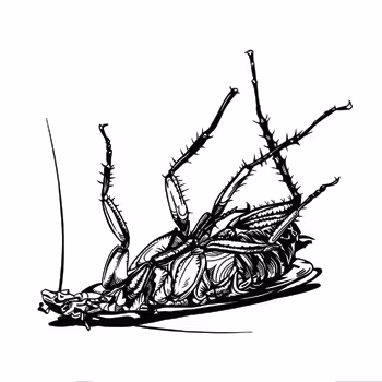 MangZab - old V2