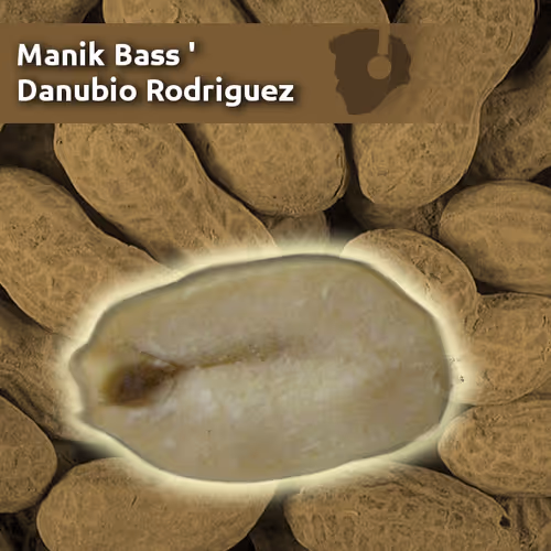 Manik Bass