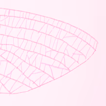 Mantodea Mantis