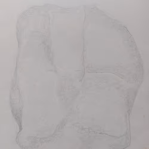 Manuel Pereira da Silva