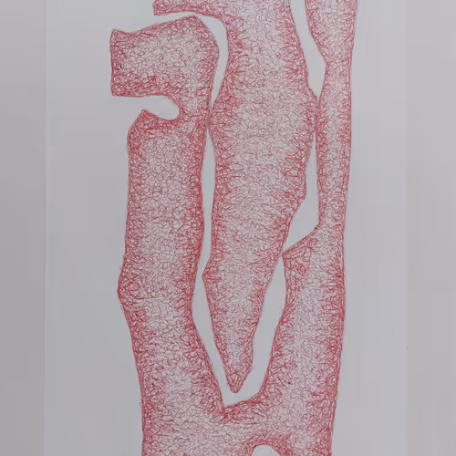 Manuel Pereira da Silva