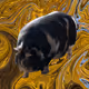 Maple Moven