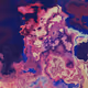 Marbled Collection - old