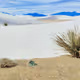 Marbles Desert