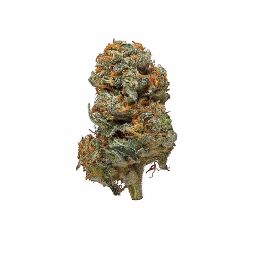 Marijuana Strains V3 - old