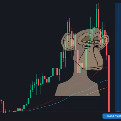 Market Crash Monkeys