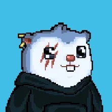 MARMOTS collection image