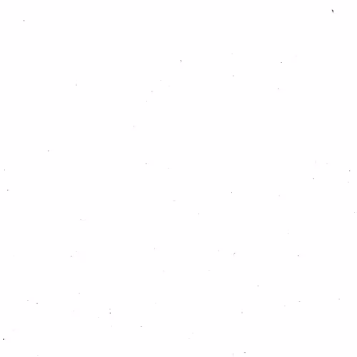 Maryam's Art Collection